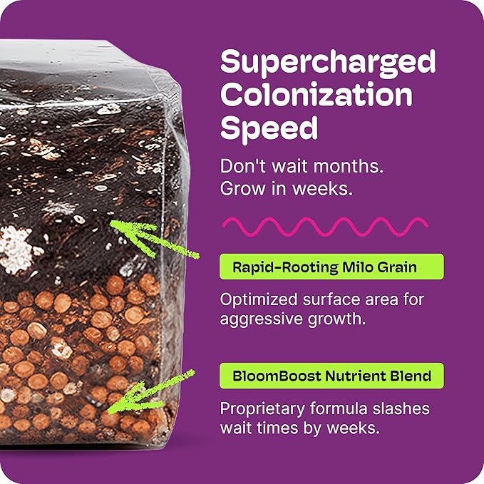 Mushroom Grow Kit – All-in-One 4LB Grow Bag with Injection Port – Fast-Colonizing Premium Substrate for Exotic & Gourmet Fungi – Multi-Flush High-Yield – USA Made (Spores Not Included)
