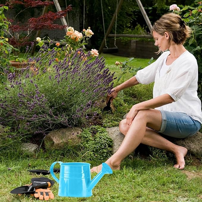 Tinplate Watering Kettle, 1L Metal Garden Watering Can, Vintage Sprinkling Can for Flowers, Indoor & Outdoor Plants, Lawn & Garden Irrigation Tool (Blue)
