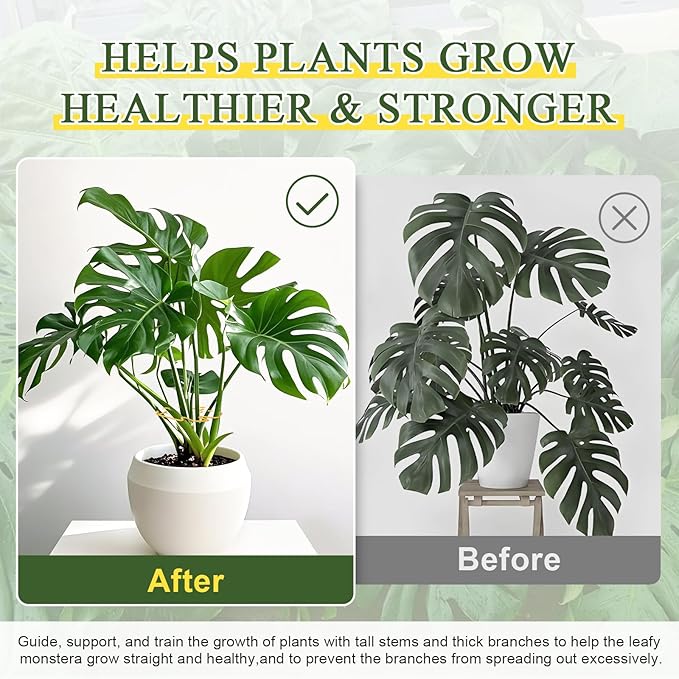 Monstera Plant Support 3 Pack, Plant Supports for Indoor Plants, Metal Plant Stem Holder Large Plant Support Ring Unique Design for Climbing Plants Stem Stabilizer Growth Accessories (Gold)
