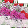 Seed Needs Annual Phlox Seeds for Planting a Colorful Mixture of Flowers - Heirloom & Open Pollinated Wildflowers to Attract Butterflies and Other Pollinators to an Outdoor Garden (2 Packs)
