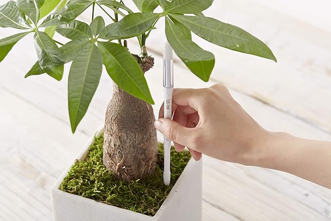 Sustee Aquameter, Green, Small - Leave-in Soil Moisture Meter for Potted Plants - Plant Water Sensor (Refillable Style)