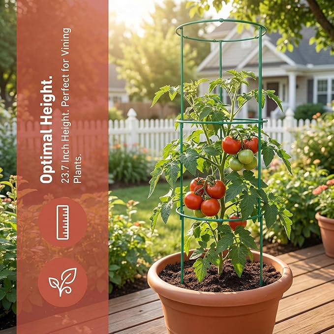 Tomato Cage - Tomato Plant Support,Tomato Trellis Plant Stakes Support, Pots and Garden Climbing Vegetables Plants Flowers,Plant Stakes for Indoor Plants，3pcs