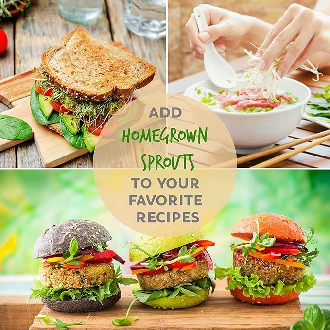 Handy Pantry Organic Salad Sprouting & Microgreens Mix – 8 Oz – Non-GMO, High-Germination Blend of Alfalfa, Broccoli, Lentil, Mung Bean & Radish Seed – Fresh, Crisp Sprouts & Nutritious Micro Green