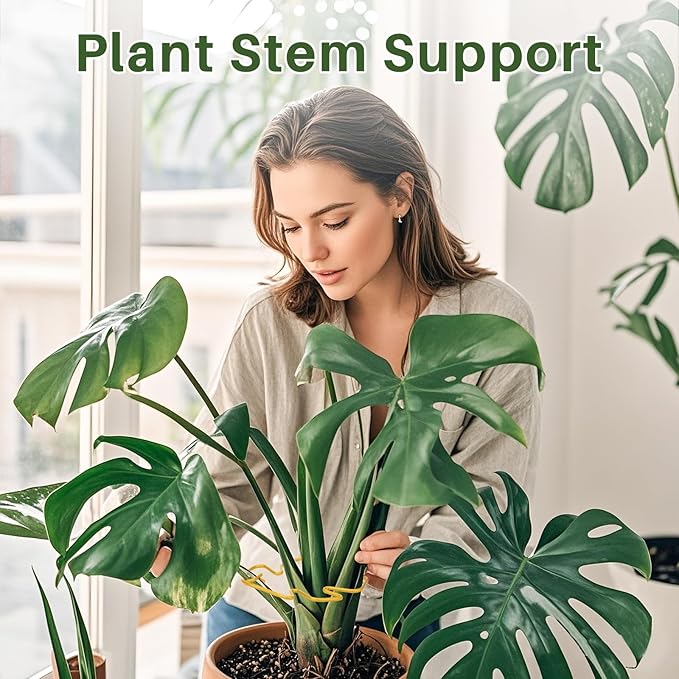 Monstera Plant Support for Indoor Plants Metal Plant Stem Holder Plant Support Ring for Climbing Plants Stem Stabilizer (6.29 * 7.08inch/ 5)