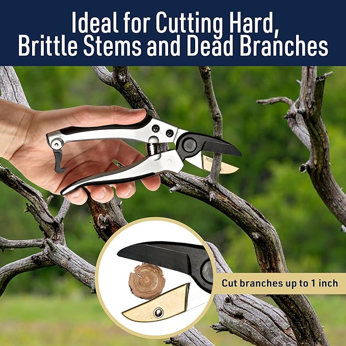 Anvil Pruning Shears for Gardening - 7.75” Heavy Duty Branch Cutter Garden Shears with Rubber Grips for Dry Stems or Small Wood Branches - Hand Pruners for Gardening Tools by Kings County Tools