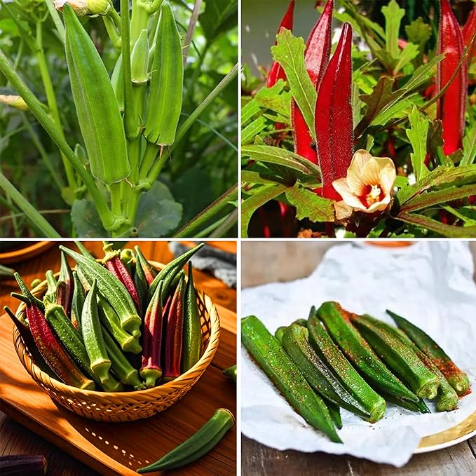 Mix Okra Seeds for Planting, 300pcs Non-GMO Heirloom Okra Vegetable Seeds, Vegetables Plants Fresh Food Plants Home Garden for Outdoors Indoors