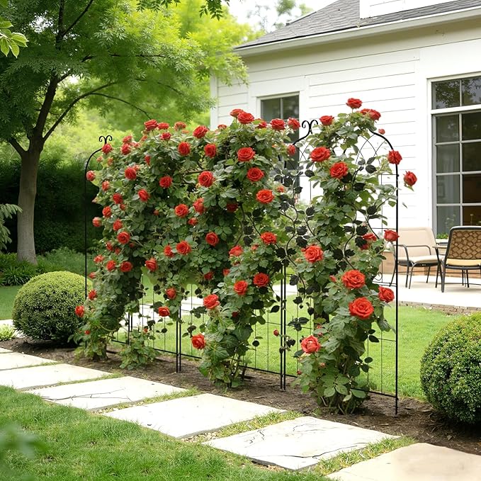 VEVOR 6 Packs Metal Garden Trellis for Climbing Plants Outdoor 71x20in, Rustproof Plant Tall Trellis for Rose Vine Flowers and Vegetables