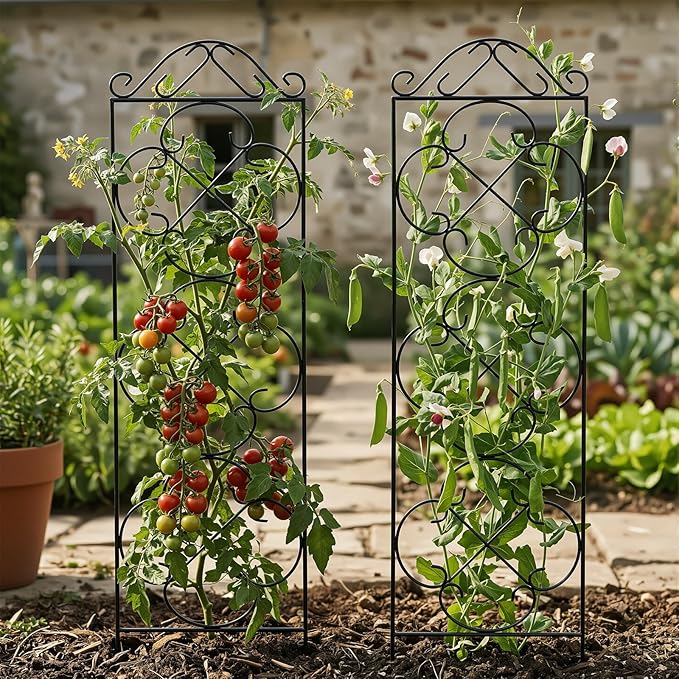 Garden Trellis 4 Pack 56'' H x 13.8'' W Metal Plant Climbing Trellis Suitable for Potted Plants Indoor and Outdoor Climbing Plants Flower Ivy Clematis Black