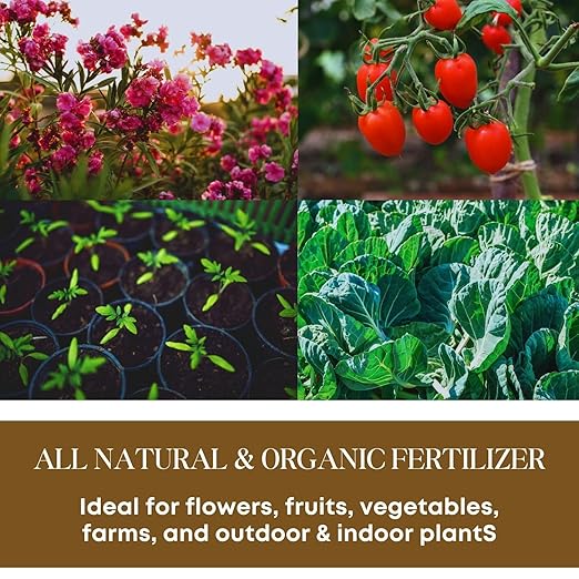 SCOTTY'S BUGS BSFL Insect Frass Organic Fertilizer, All-Purpose Plant Food for Houseplants, Gardens, Indoor Plants, Lawns, Vegetables, NPK 3-1-2, 8oz Pack