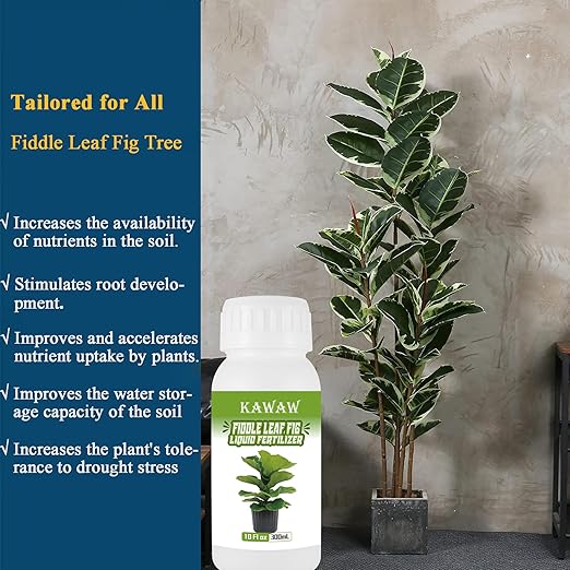 10oz (300ml) Fiddle Leaf Fig Probiotic Plant Food – Organic Microbial Nutrient Liquid for Indoor Plants, Promotes Greener Leaves & Stronger Roots