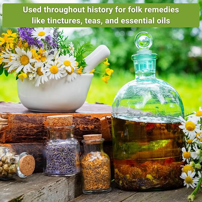 Sow Right Seeds - Extra Large Medicinal Herb Seed Collection for Planting - Lemon Balm, Lavender, Yarrow, Echinacea, Bergamot, Chamomile, Calendula, Mint & More - Non-GMO Heirloom, Home Remedies