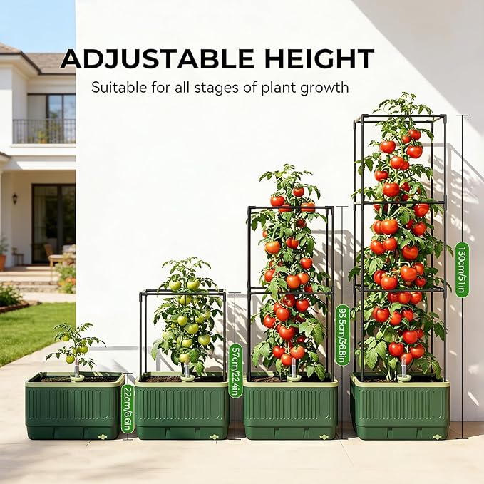 Raised Garden Bed Tomato Planter with Trellis, 52" Self Watering Tomato Planter with Water Level Indicator, Larger Rectangular Tomato Cages for Indoor & Outdoor Climbing Vegetable and Plants (1)