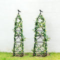 aboxoo Set of 2 Packs Sturdy Metal Garden Obelisk Trellis for Climbing Plants,Versatile Support for Roses, Topiaries & Houseplants, Easy to Assemble, Durable & Decorative for Indoor/Outdoor Displays