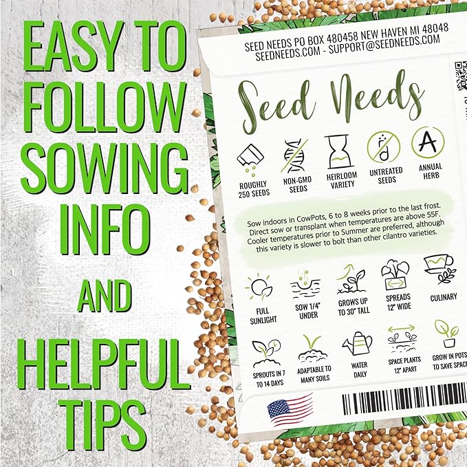 Seed Needs Cilantro Seeds for Planting Coriander Kitchen Herbs - Non-GMO Heirloom & Untreated - Grow a Home Grown Herb Garden Indoors or Outdoors (20 Packs)