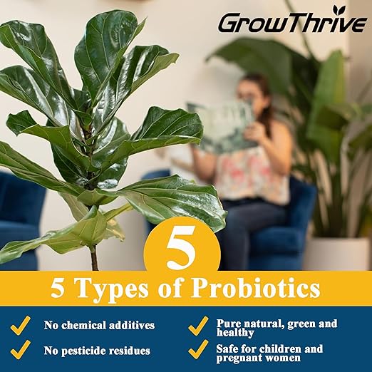 10oz (300ml) Fiddle Leaf Fig Probiotic Plant Food – Organic Microbial Nutrient Liquid for Indoor Plants, Promotes Greener Leaves & Stronger Roots