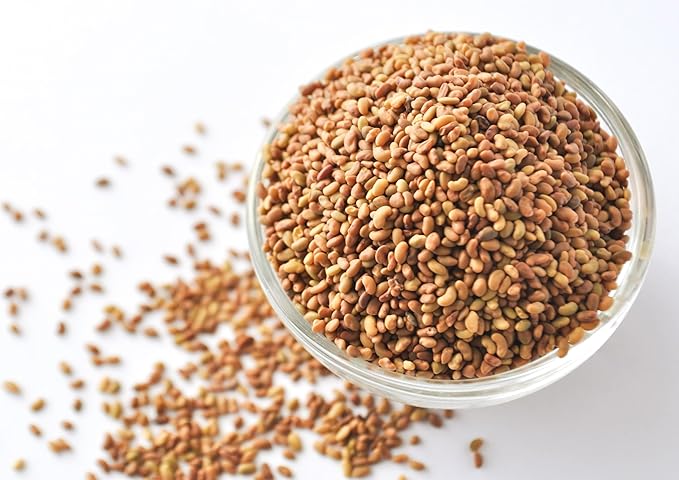Food to Live Alfalfa Seeds for Sprouting, 3 Pounds – Edible Seeds, Pure, Vegan, Kosher, Bulk. Rich in Vitamin K & C. High Germitation Rate. Grow Sprouts, and Microgreens for Salad, Sandwiches, Rolls.