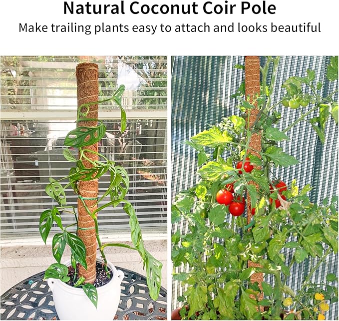 JJGoo Moss Pole for Plants Monstera,【4 Pack】 23.6 inch Plant Support Pole, Extendable Coir Totem Pole for Potted Plants Pothos,Train Indoor Climbing Plants to Grow Upwards - Extends to 74.6 Inches