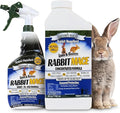 Nature’s MACE Rabbit Mace, Outdoor Rabbit Repellent Spray & Concentrate Kit, Covers 29,400 Sq Ft, Mint Scent, Safe Around Pets, People & Plants