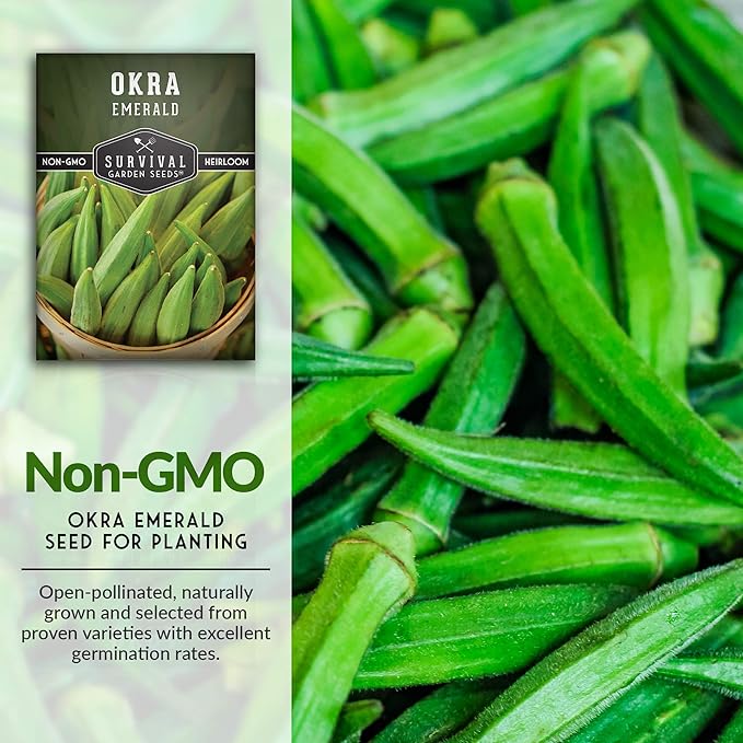 Survival Garden Seeds - Emerald Okra Seed for Planting - Packet with Instructions to Plant and Grow Tender and Large Okra in Your Home Vegetable Garden - Non-GMO Heirloom Variety - 2 Pack
