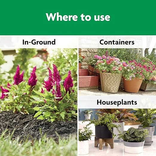 Miracle-Gro Shake 'N Feed All Purpose Plant Food,for In-Ground and Container Plants,Feeds for up to 3 Months,1 lb.,(Pack of 6)