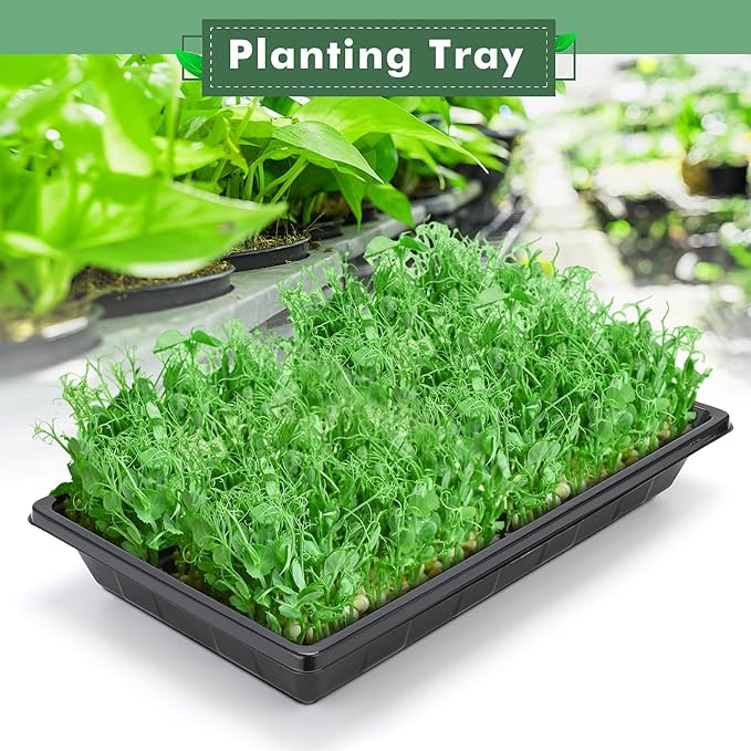 Sckee Upgraded 5 Pack Plant Growing Trays Seed Starting Tray Microgreens Growing Trays Seedling Plant Germination Starter Tray Transplant Fodder Flats, No Holes, No Leakage, Reusable (1017)