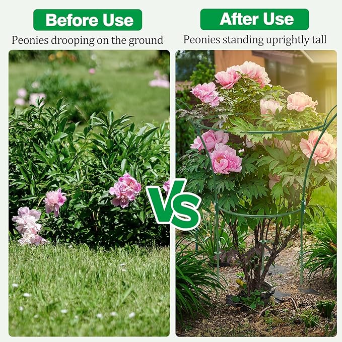 6 Pack Peony Cages and Supports Cages 13" D x 22.8" H Heavy Duty Metal Support Frame for Peonies & Roses Natural Bouquet Shape Garden Stakes for Outdoor Plants Flowers Ornamental (Green)