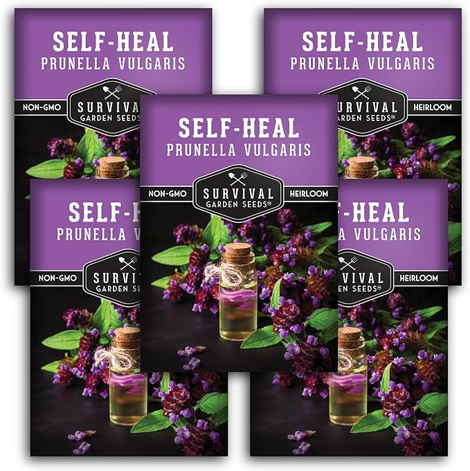 Self-Heal Seeds for Planting - Prunella Vulgaris (All-Heal, Selfheal) Hardy Perennial Ground Cover & Pollinator Wildflower, Non-GMO Heirloom Herb - Survival Garden Seeds (5 Packs)