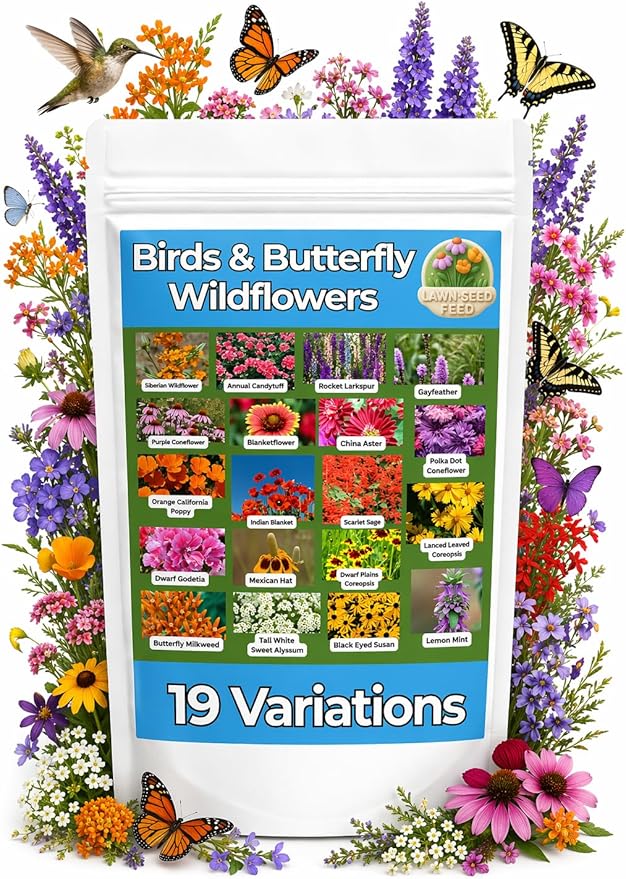 Birds & Butterfly Wildflower Seed Mix (2oz) Vibrant Pollinator Flowers that Attract Butterflies & Provide Seed for Birds