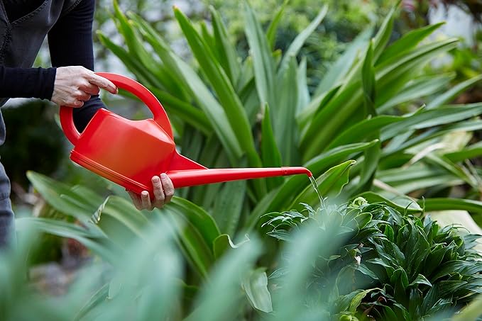 Consolidated Plastics Durable Swiss Watering Can with UV Protection, Ergonomic Handle for Indoor/Outdoor Gardening, Made in Switzerland (2 Liter) (Red)