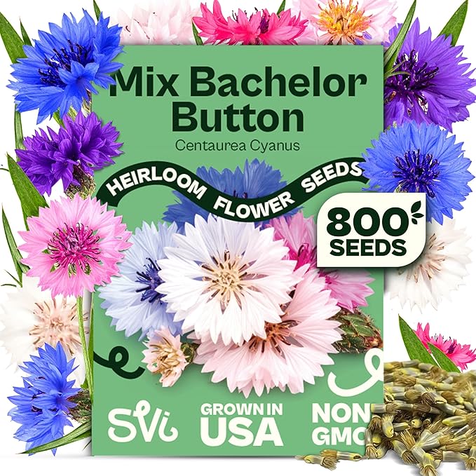 SVI 800 Bachelor Button Seeds for Planting (Centaurea cyanus) – Cornflower, Wildflower Mix Seed Packets – Heirloom Flower Seeds to Plant Outside in Garden, Borders, and Containers