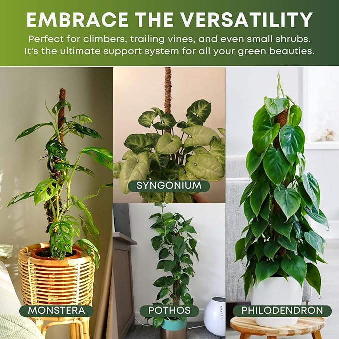 Moss Pole Monstera Plant Support | 60 Inch Plant Stakes for Indoor Plants | Coconut Palm Fiber Moss Poles for Climbing Plants | Handmade Plant Sticks Support Tall Monstera, Pothos & More