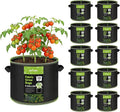 BN-LINK 10-Pack 5 Gallon Grow Bags, Heavy Duty Aeration Fabric Pots with Handles, Thickened Nonwoven Plant Bags for Vegetables, Flowers, Fruits