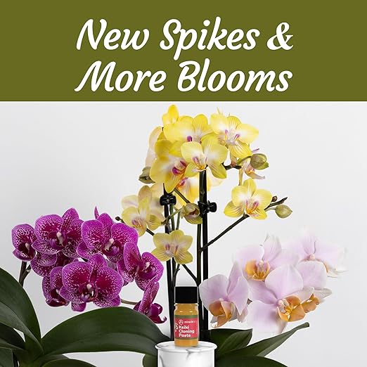 Keiki Cloning Paste - Special Cytokinin Formula Gives a New Baby Orchid (Keiki) in Weeks - Can Be Used on All Kinds of Orchids and Also House Plants (2 Pack)