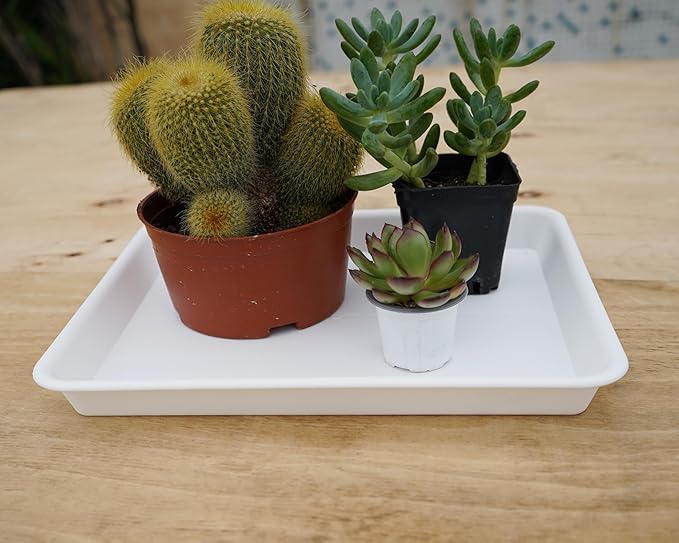 VUWEZ Rectangle Plant Tray, Plant Drip Tray, Plant Pot Saucers, Plant Germination Trays, Plant Saucers, 14.5'' x 11'' x 1.5'' (2 pack), Creamy White