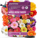 Moss Rose Seeds Bulk Pack - 50,000+ Non-GMO Heirloom Portulaca Seeds for Planting Outdoors, Rainbow Color Mix, Drought-Tolerant Ground Cover & Container Flowers, USDA Zones 2-11