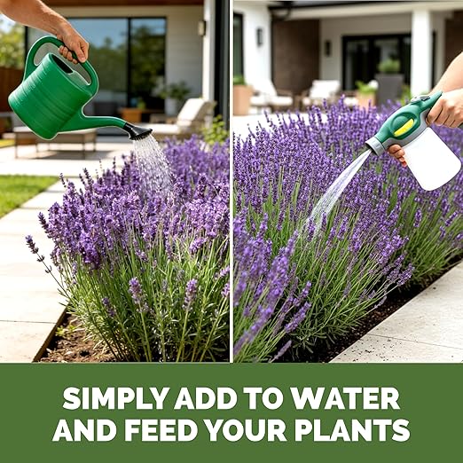 Lavender Fertilizer – Liquid Plant Food for More Blooms, Stronger Roots & Healthy Growth, 32 oz