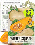 Seed Needs Waltham Butternut Squash Seeds for Planting - Non-GMO Heirloom & Untreated Summer Squash to Plant a Home Grown Outdoor Vegetable Garden (1 Pack)