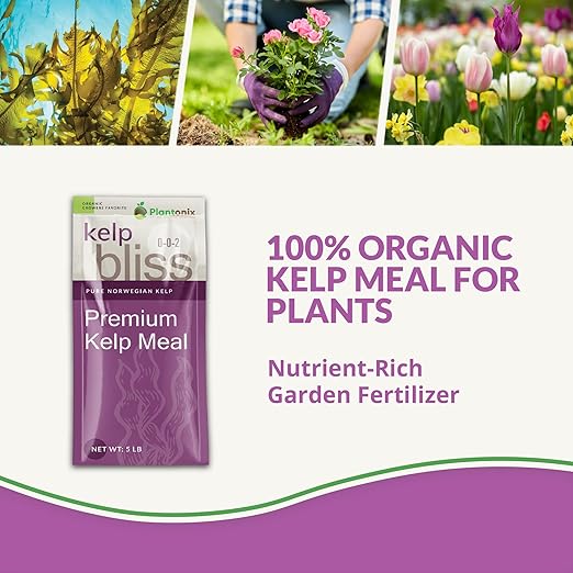 Neem Bliss (5lbs) + Kelp Meal (5lbs) - Kelp Meal Organic Fertilizer & Neem Cake for Plants - Kelp Fertilizer for Plants - Neem Seed Meal Fertilizer - Natural Plant Food Rich in Vitamins & Nutrients