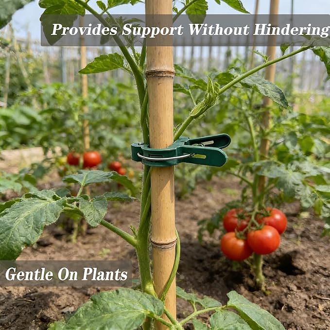 Plant Support Clips, 80 PCS Gentle Flower Plant Clamps for Supporting Vine Climbing Plants Plant Clips Garden Clips for Tomato Cage 2 Sizes in one Pack
