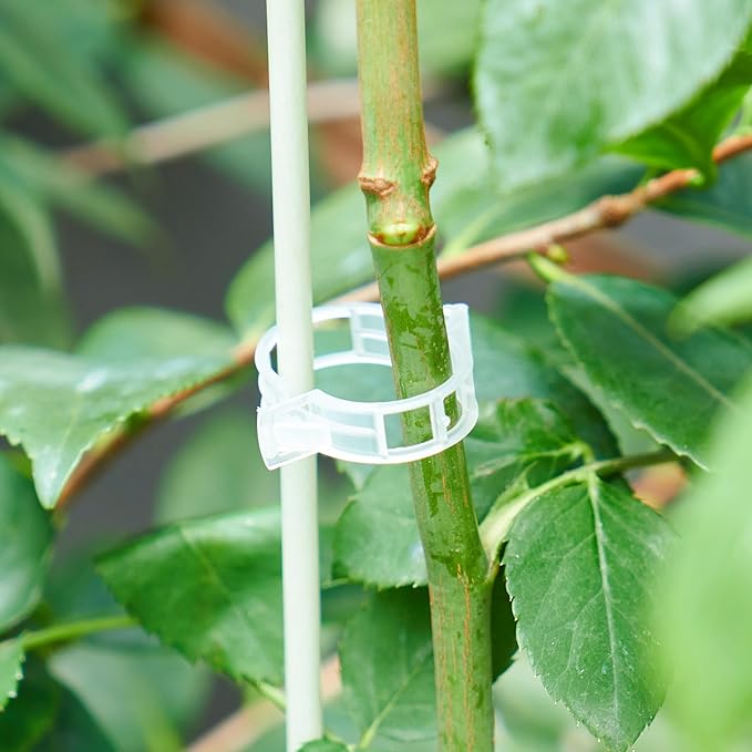 300Pcs Garden Vine Plant Support Clips,Plastic Fixing Clips for Securing and Training Climbing Plants,Tomatoes,Grapes,Vine Vegetables and Potted Plant (300, White)