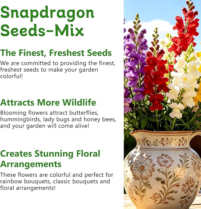 LUOJIBIE Snapdragon Seeds, 50,000+ Tetra Mix Snapdragon Seeds for Planting (Antirrhinum Majus) Fairy Bouquet Blend, Non-GMO Heirloom Annual Flower Garden Seeds Bulk for Outdoor & Indoor