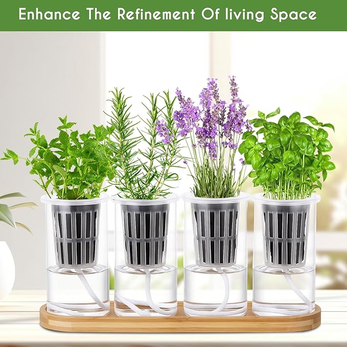 8 Pcs Hydroponic Herb Planter Growing Kit Self Watering Glass Vase with Wooden Stand Herb Garden Starter Kit for Propagating Hydroponic Plants Centerpiece Office Home Garden Decor