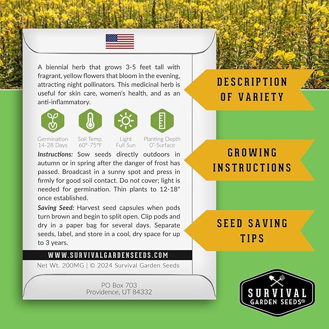 Common Evening Primrose Seeds for Planting - Biennial Native Wildflower, Night-Blooming with Yellow Flowers - Oenothera biennis - Non-GMO Heirloom - Survival Garden Seeds (1 Pack)