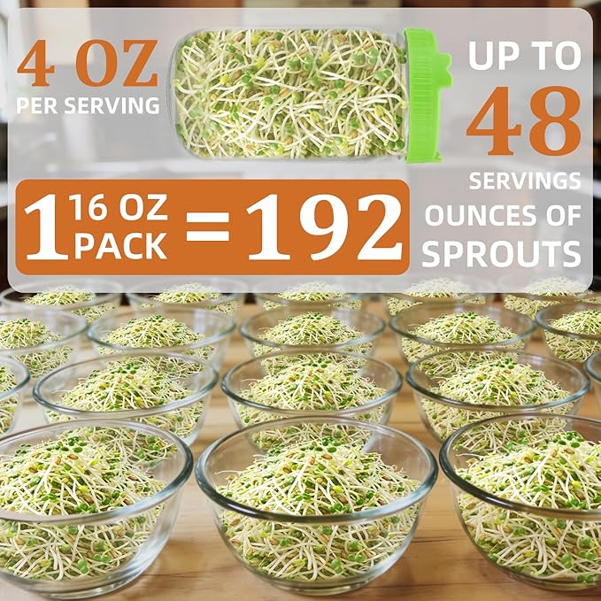 Organic Radish Sprout Seeds (16 oz), Certified Non-GMO, Heirloom Seeds, Premium Radish Sprouting Seeds for Sprouting and Microgreens, High Yield High Germination, Resealable Bag