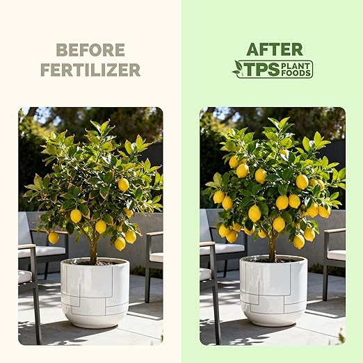 Plant Fertilizer for All Plants – Liquid Plant Food for Healthy Growth, Strong Roots & Vibrant Foliage, 1 Gallon