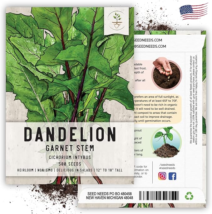 Seed Needs Garnet Stem Dandelion Seeds for Planting - Non-GMO, Heirloom & Untreated Edible Herbs - Grow Your own Food for Tortoises, Rabbits & Bearded Dragons (1 Pack)