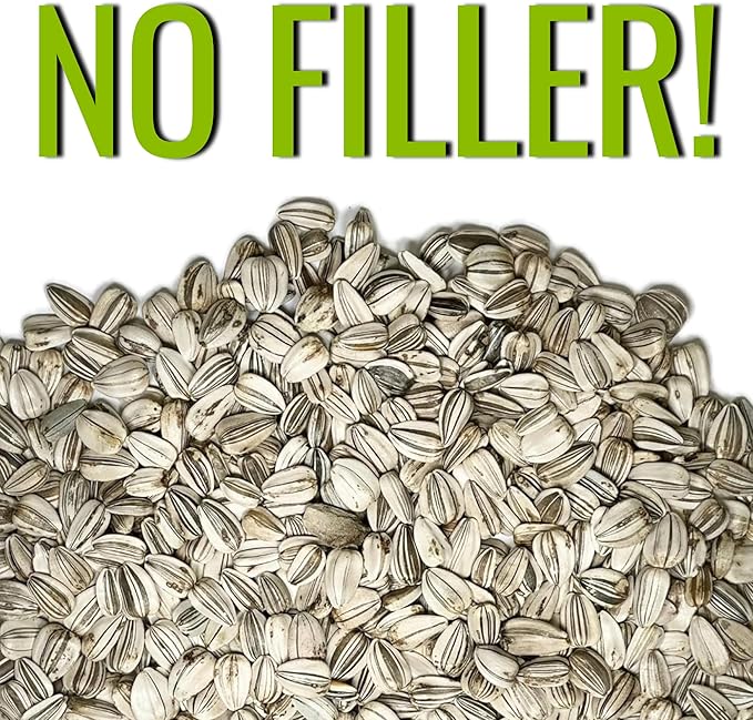 Seed Needs Sunflower Seeds to Plant Mammoth Grey Stripe | 2 Ounce Large Resealable Pouch Heirloom Seeds Helianthus Annuus Non GMO | Tall Growing Sun Flowers (XL Pack)