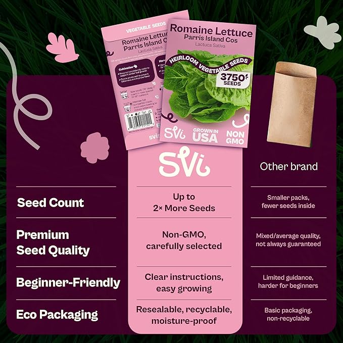SVI 3750 Parris Island Cos Romaine Lettuce Seeds (Lactuca Sativa) – Green Leaf Lettuce Romaine Seed Packets – Disease Resistant, Heirloom Vegetable Seeds for Outdoor Vegetable Garden