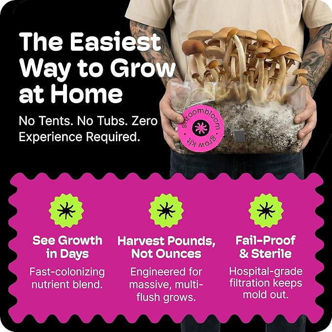 Mushroom Grow Kit – 4LB Total (2-Pack of 2LB Bags) – Fast-Colonizing All-in-One Bundle – Premium Substrate with Injection Port – Gourmet & Exotic Fungi – USA Made (Spores Not Included)