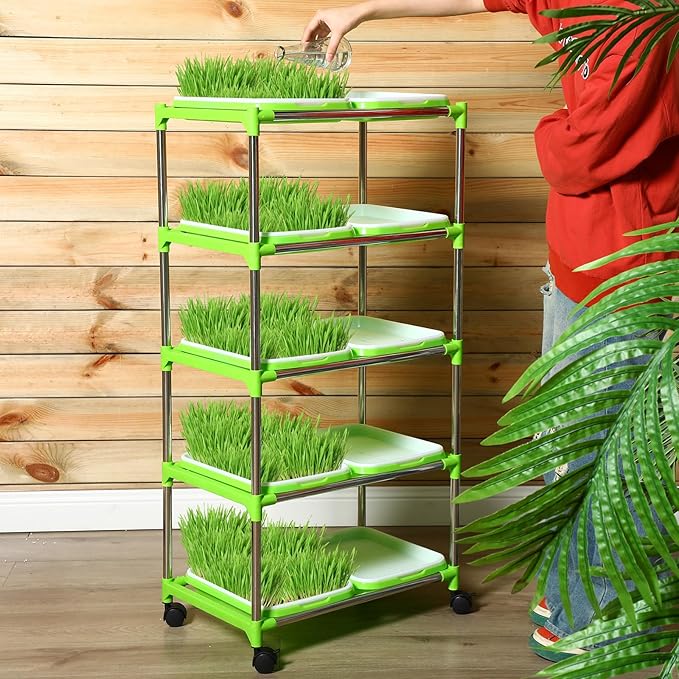 Menkxi 5 Layers Seed Sprout Tray Shelf Microgreens Growing Kit 10 Pcs Healthy Wheatgrass Seeds Grower with Drain Holes and 60 Sheets Germinating Paper for Garden Home Office